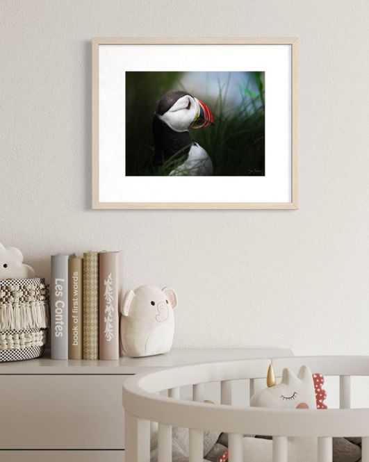 Hovedbilde Kunstprint i Matt Art Print - Motiv Lundefugl