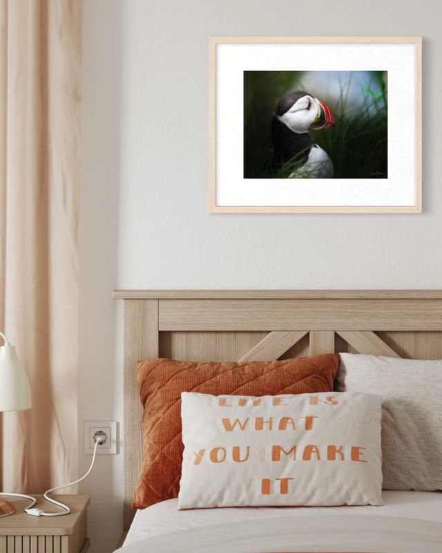 Kunstprint i Matt Art Print - Motiv Lundefugl